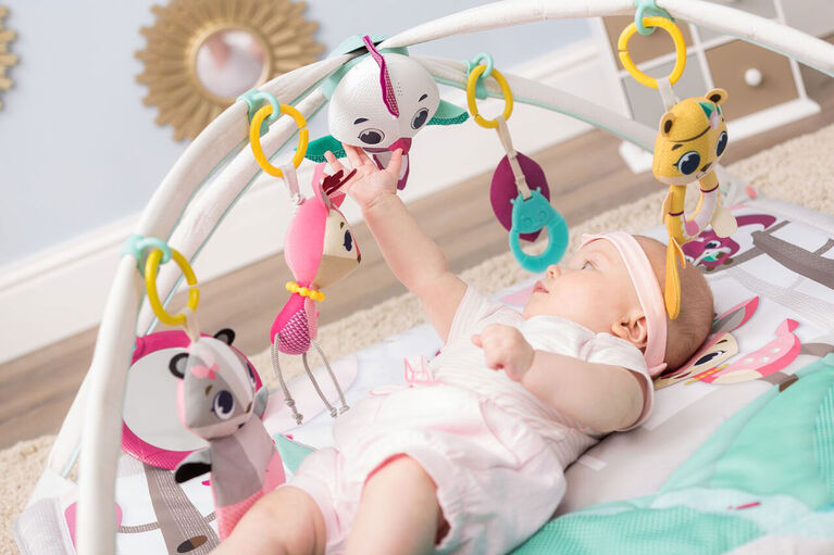 Benefits of Baby Activity Gym