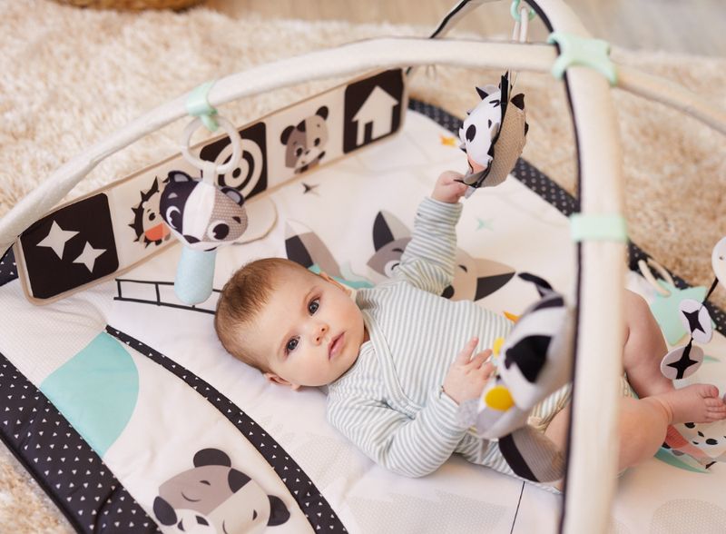 Who Can Use Baby Activity Gym