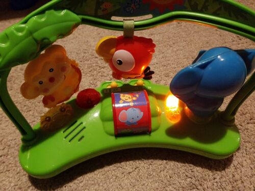 fisher price rainforest - electronic hub