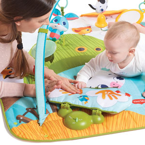 development learning for baby using the gymini kick & Play gym