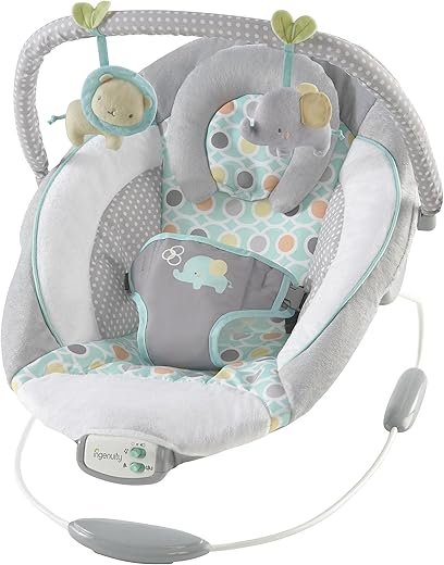 Ingenuity Morrison Soothing Baby Bouncer