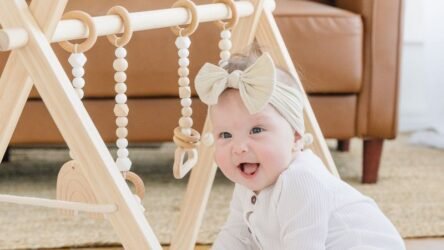 Uses of Baby Activity Gym
