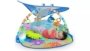 Bright Starts Finding Nemo Mr. Ray Baby Activity Gym: