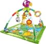 Fisher-Price Rainforest Music & Lights Deluxe Gym: