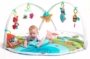 Tiny Love Dynamic Gymini Play Gym