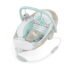 Chicco E-Motion Auto-Glider & Bouncer Review