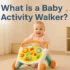 Fisher-Price Rainforest Music & Lights Deluxe Baby Gym Review