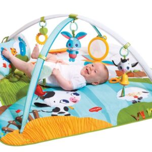 The 2-in-1 design with adjustable arches, offering various play modes.